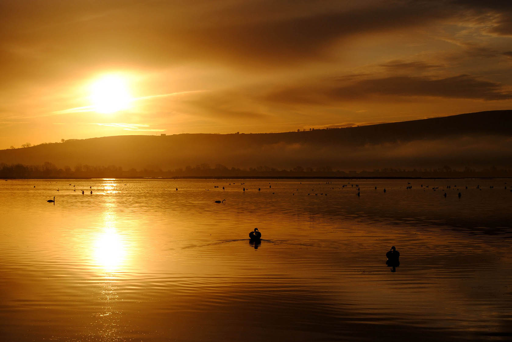 Inch Island 4